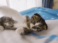 20150306-2.gif